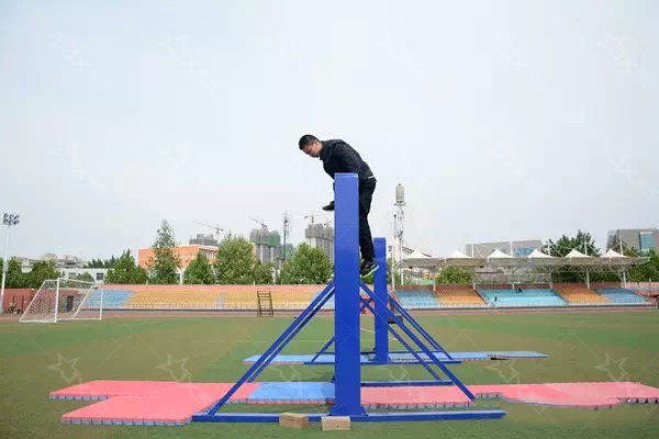 1772528042141293.jpg 9.jpg